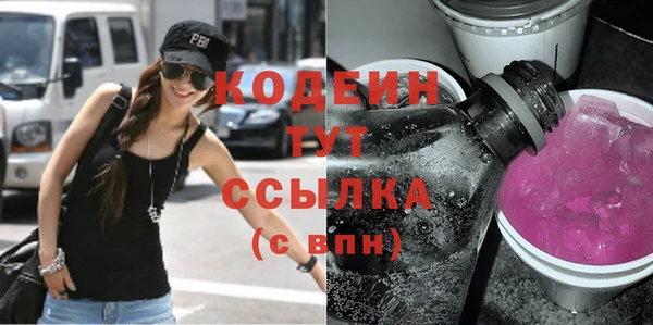 спайс Корсаков