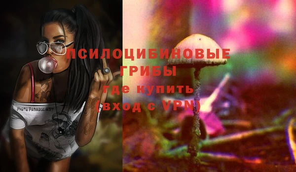 амф Костерёво